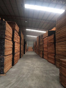 新貨到，雙發(fā)到新貨有紅玫瑰，黃玫瑰，紅花梨，紅紅火火，歡迎訂貨