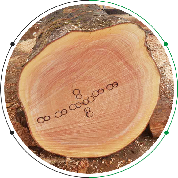 不銹鋼牙板、不銹鋼搓絲板定制